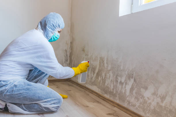 Hvac And Air Duct Mold Remediation inspection of HVAC system in Englewood